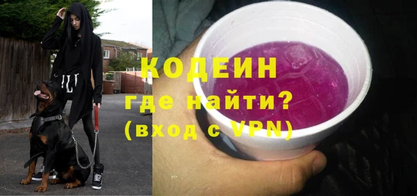 прущий лед Анива