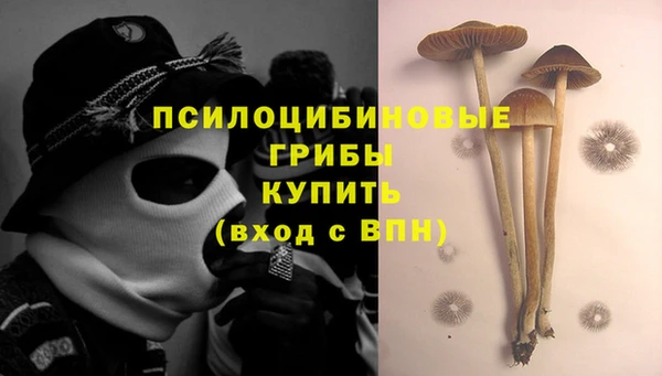 мяу мяу кристалл Надым