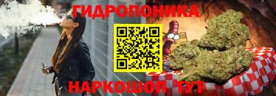 шишки Камышлов
