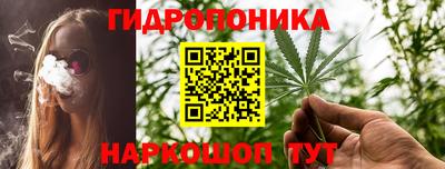 шишки Камышлов