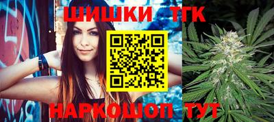 шишки Камышлов