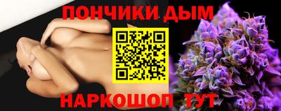 шишки Камышлов
