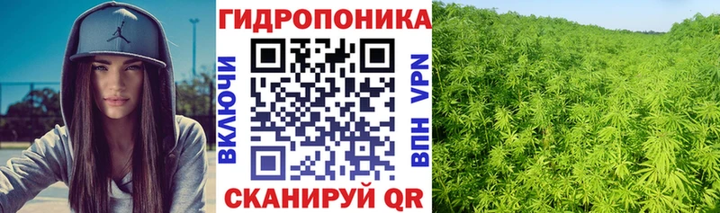 Бошки Шишки индика  Кемерово 