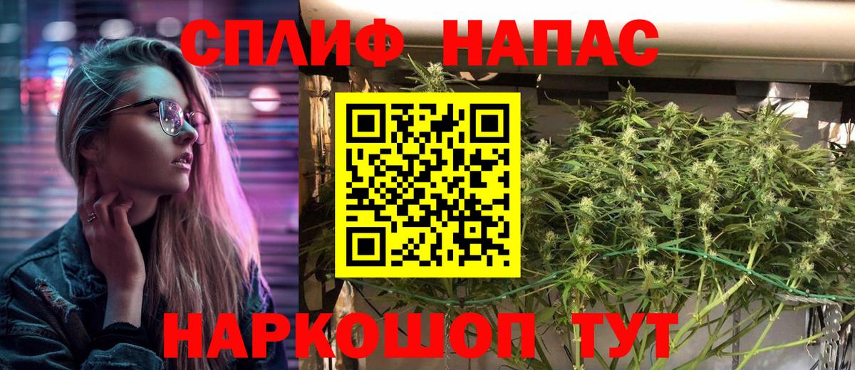 МАРИХУАНА семена Кемерово